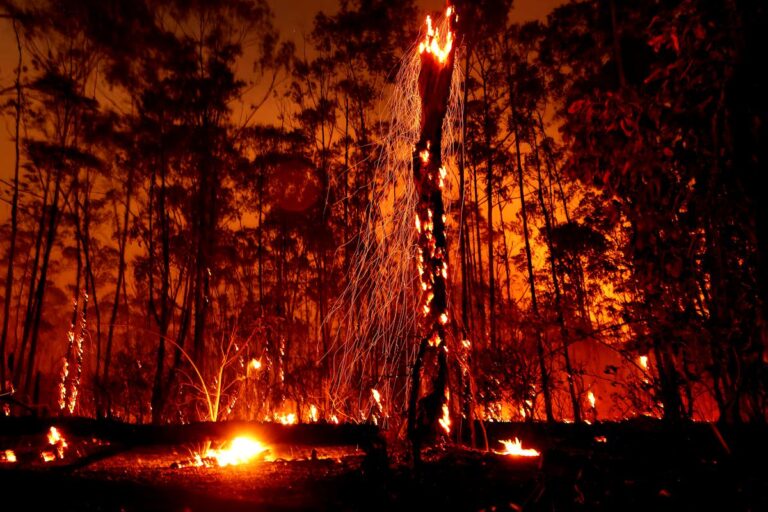 Brasile in fiamme: migliaia di roghi minacciano il Paese