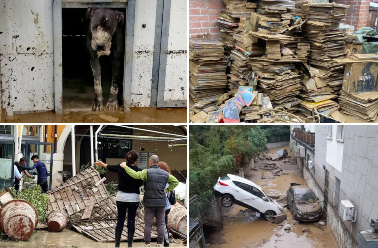 La solidarietà online corre più veloce dell’acqua: migliaia di donazioni per le vittime dell’alluvione in Emilia-Romagna