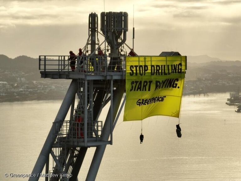 Shell patteggia la causa milionaria contro Greenpeace. Dopo la pressione civica l’azienda petrolifera ha fatto marcia indietro